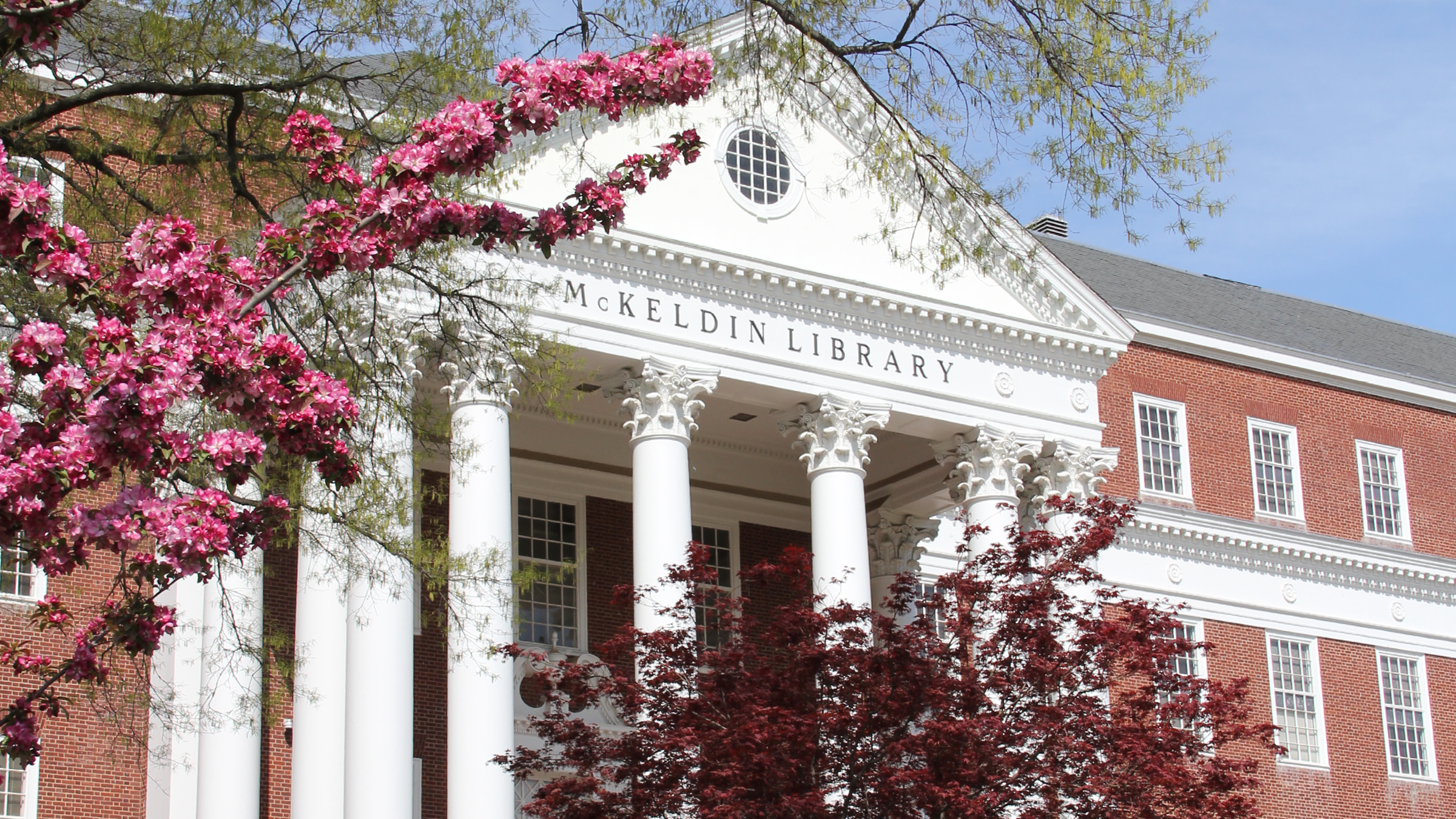 Image of Mckeldin Library